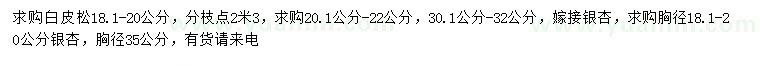 求购白皮松、嫁接银杏、银杏