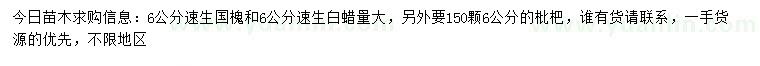 求购速生国槐、速生白蜡、枇杷