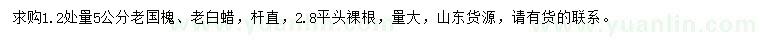 求购1.2处量5公分老国槐、老白蜡