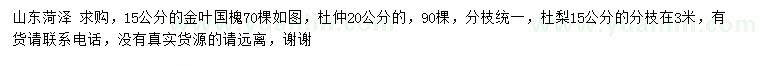 求购金叶国槐、杜仲、杜梨