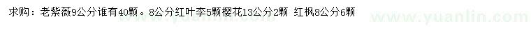 求购老紫薇、红叶李、樱花等