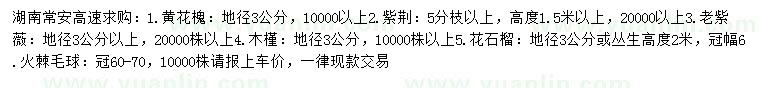 求购黄花槐、紫荆、老紫薇等