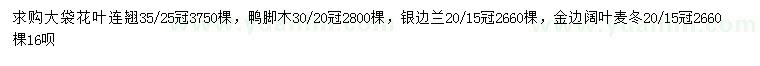 求购花叶连翘、鸭脚木、银边兰等