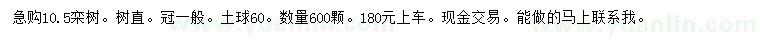 求购10.5公分栾树