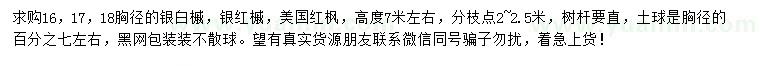 求购银白槭、银红槭、美国红枫