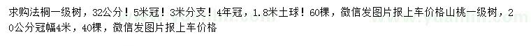 求购20、32公分法桐