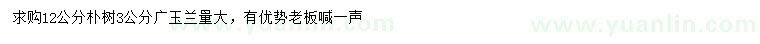 求购12公分朴树、3公分广玉兰