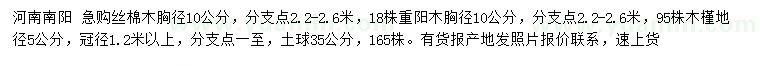 求购丝棉木、重阳木、木槿