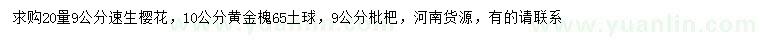 求购速生樱花、黄金槐、枇杷