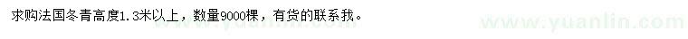 求购高度1.3米以上法国冬青