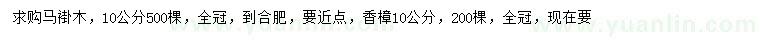 求购10公分马褂木、香樟