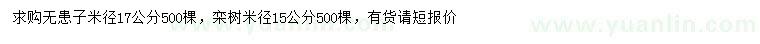 求购米径17公分无患子、15公分栾树