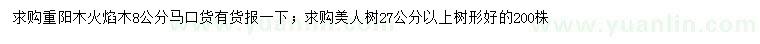 求购重阳木、火焰木、美人树