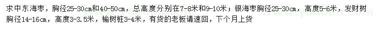 求購中東海棗、銀海棗、發財樹等