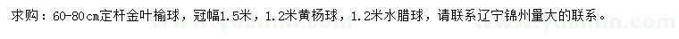 求购金叶榆球、黄杨球、水腊球