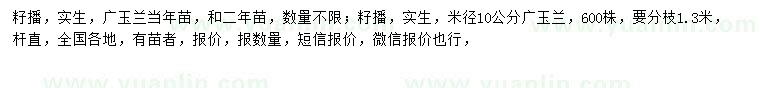 求购当年、二年生广玉兰小苗、米径10公分广玉兰