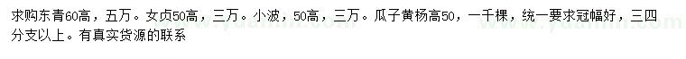 求购冬青、女贞、瓜子黄杨等