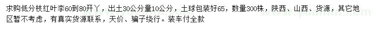 求购出土30公分量10公分红叶李