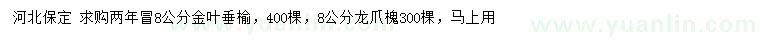 求购8公分金叶垂榆、龙爪槐