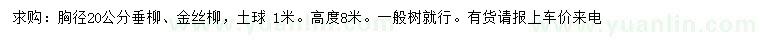 求购胸径20公分垂柳、金丝柳