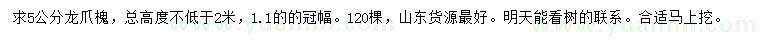 求购5公分龙爪槐