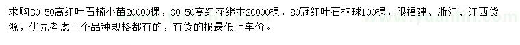 求购红叶石楠小苗、红花继木小苗、红叶石楠球