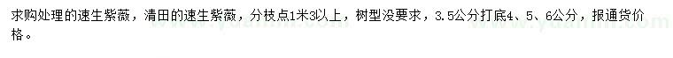 求购4、5、6公分处理速生紫薇