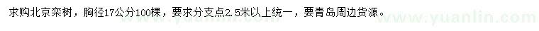 求购胸径17公分北京栾树