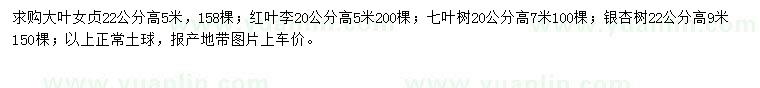 求购大叶女贞、红叶李、七叶树等