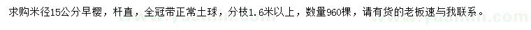 求购米径15公分早樱