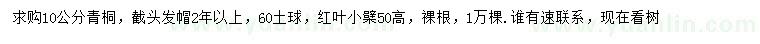 求购10公分青桐、高50公分红叶小檗