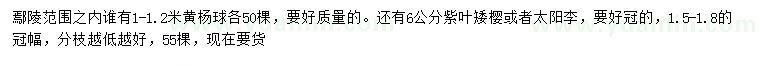 求购1-1.2米黄杨球、6公分紫叶矮樱（太阳李）