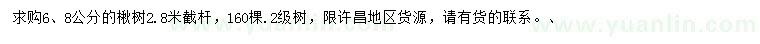 求购6、8公分楸树