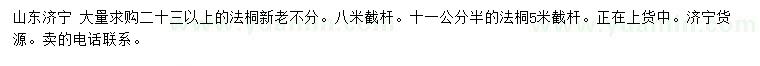 求购11.5、23公分以上法桐