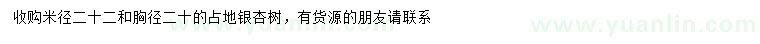 求购米径22公分、胸径20公分占地银杏树