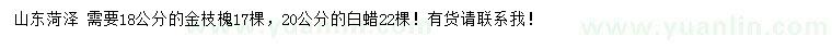 求购18公分金枝槐、20公分白蜡