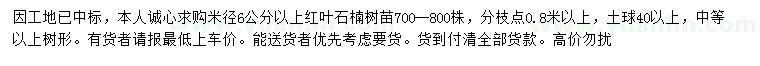 求购米径6公分以上红叶石楠