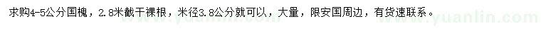 求购米径3.8-5公分国槐