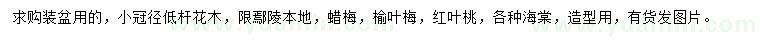 求购蜡梅、榆叶梅、红叶桃