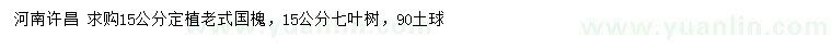 求购15公分老式国槐、七叶树