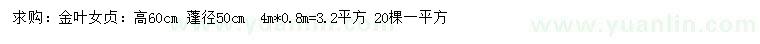 求购高60公分金叶女贞