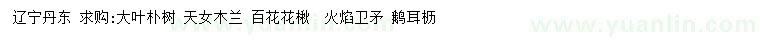 求购大叶朴树、天女木兰、百花花楸等