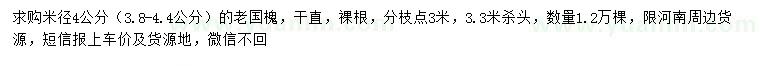 求购米径3.8-4.4公分老国槐