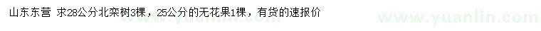 求购28公分北栾树、25公分无花果