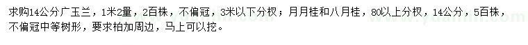 求购广玉兰、月月桂、八月桂