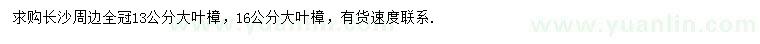 求购13、16公分大叶樟