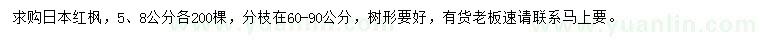 求购5、8公分日本红枫