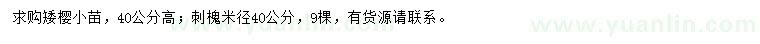 求购高40公分矮樱小苗、米径40公分刺槐