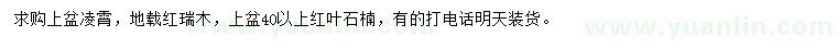 求购凌霄、红瑞木、红叶石楠