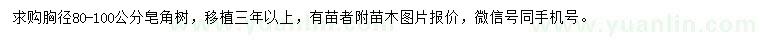 求购胸径80-100公分皂角树